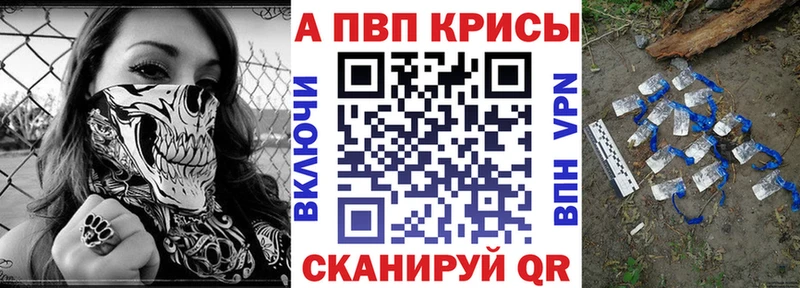 A-PVP СК КРИС  Новокузнецк 