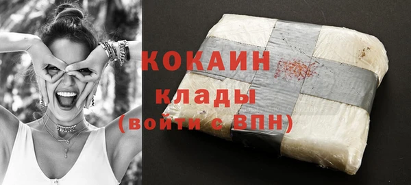 МДПВ Абаза