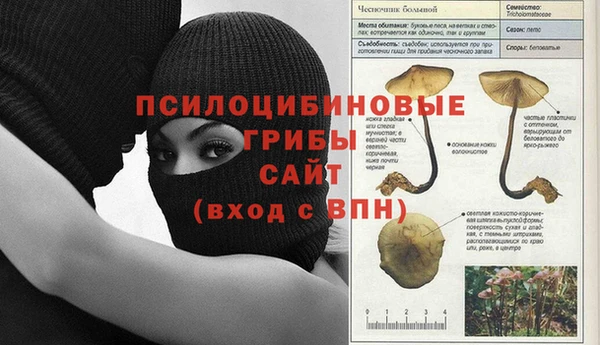 spice Абдулино