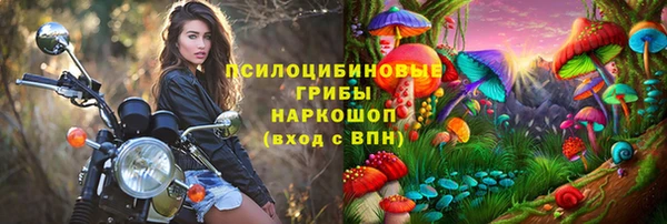 тгк Абинск