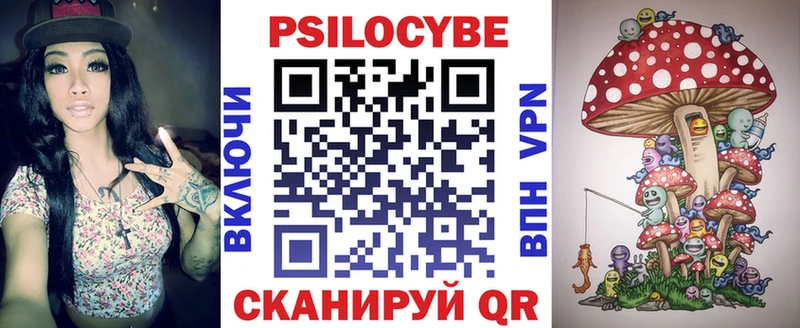 сколько стоит  Новокузнецк  Псилоцибиновые грибы Psilocybe 